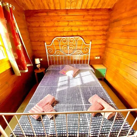 Canary Wild House 2 *