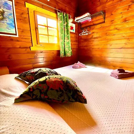 Canary Wild House 2 Villa Carrizal