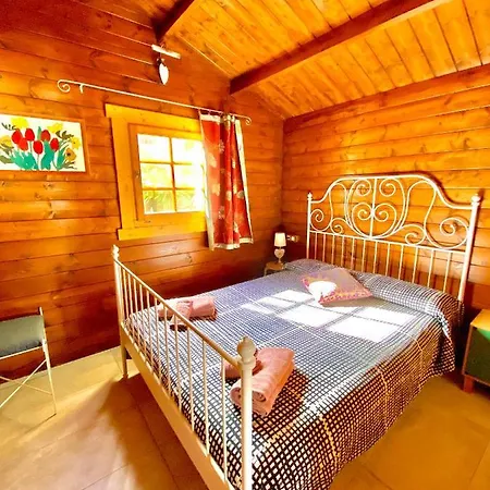 Canary Wild House 2 Carrizal
